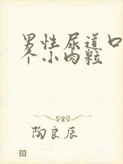 男性尿道口内有个小肉粒