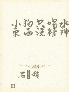 小狗只喝水不吃东西没精神呕吐怎么办