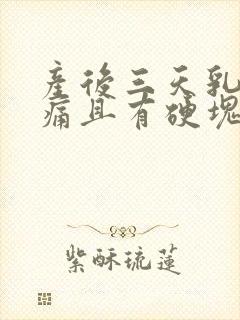 产后三天乳房胀痛且有硬块,怎么办?封面