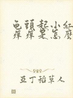 龟头起小红疙瘩痒痒是怎么回事