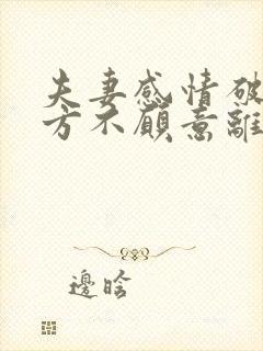 夫妻感情破裂一方不愿意离婚以后怎么离封面