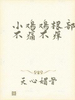 小鸡鸡根部疙瘩不痛不痒