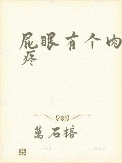 屁眼有个肉球很疼