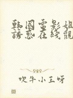 韩国电影姐姐的诱惑在线观看封面