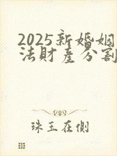 2025新婚姻法财产分割