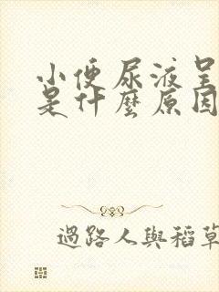 小便尿液呈红色是什么原因