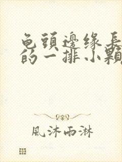 龟头边缘长白色的一排小颗粒