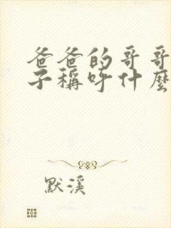 爸爸的哥哥的儿子称呼什么封面