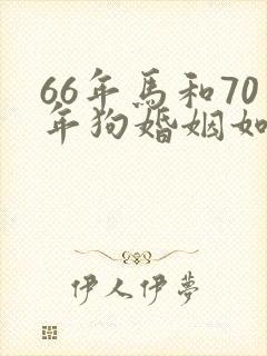 66年马和70年狗婚姻如何