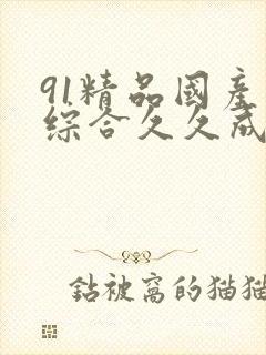 91精品国产色综合久久成人