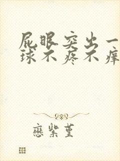 屁眼突出一个肉球不疼不痒