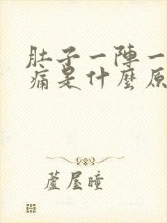 肚子一阵一阵的痛是什么原因引起的