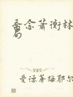 乔念萧衡林鸢结局