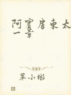 阿宾房东太太第一章