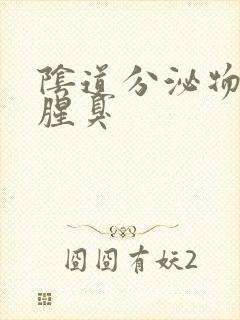 阴道分泌物水样腥臭封面