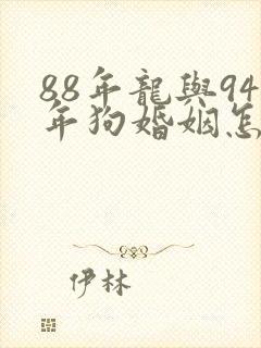 88年龙与94年狗婚姻怎么样封面