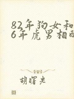 82年狗女和86年虎男相配婚姻如何