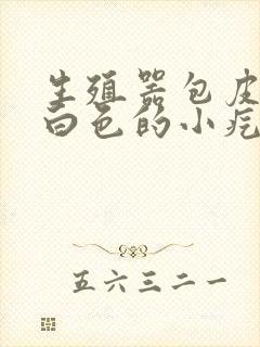 生殖器包皮上有白色的小疙瘩是怎么回事