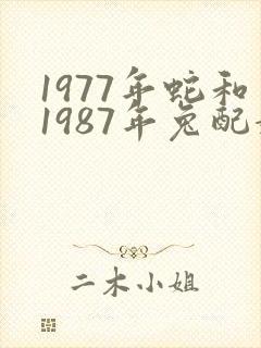 1977年蛇和1987年兔配婚姻好不好封面