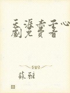 天涯赤子心电视剧免费看封面