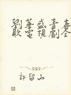 刘华盛青春不言败电视剧全集免费观看