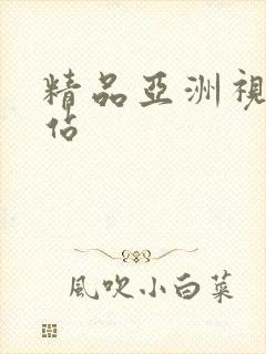 精品亚洲视频网站