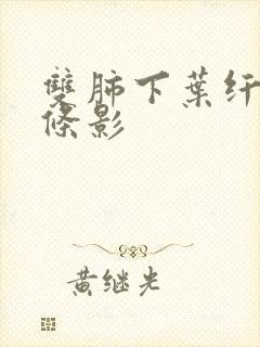 双肺下叶纤维索条影