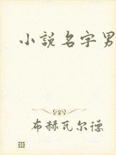 小说名字男生