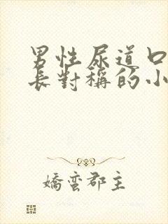 男性尿道口两侧长对称的小疙瘩