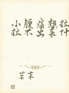 小腹痛想拉尿又拉不出来什么原因