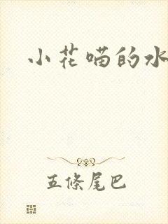 小花喵的水蜜桃