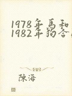 1978年马和1982年狗合财吗