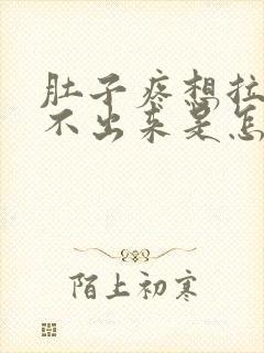 肚子疼想拉屎拉不出来是怎么回事