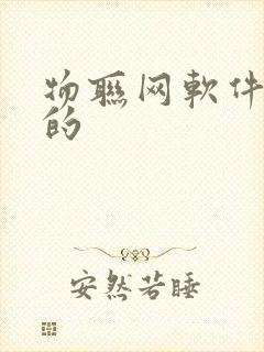 物联网软件开发的封面