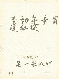 李初年童肖媛正道红途封面