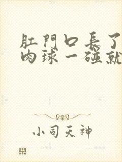 肛门口长了一个肉球一碰就疼封面