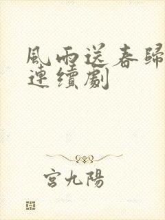 风雨送春归电视连续剧封面