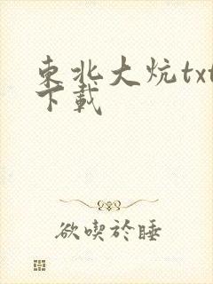东北大炕txt下载
