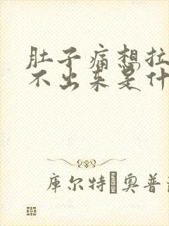 肚子痛想拉又拉不出来是什么原因