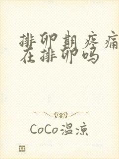 排卵期疼痛是正在排卵吗