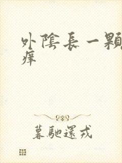 外阴长一颗痘痘痒