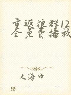 重返狼群12集全免费播放