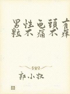 男性龟头有小颗粒不痛不痒