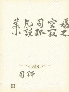 叶凡司空嫣然的小说孤寂之狼