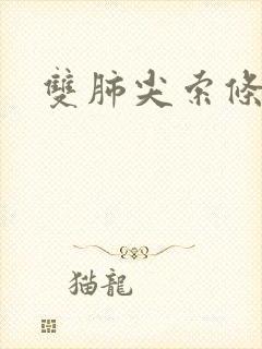 双肺尖索条状影封面