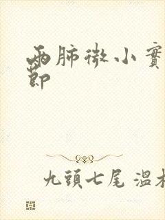 两肺微小实性结节