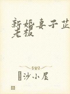 新婚妻子芷珊菜老板封面
