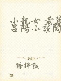 小龙女 黄蓉 吕阳小说阅读