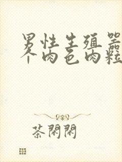 男性生殖器长了个肉色肉粒什么病