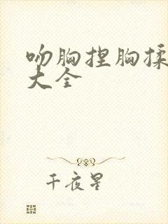 吻胸捏胸揉视频大全